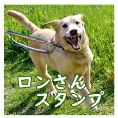 ロンさんスタンプ♪