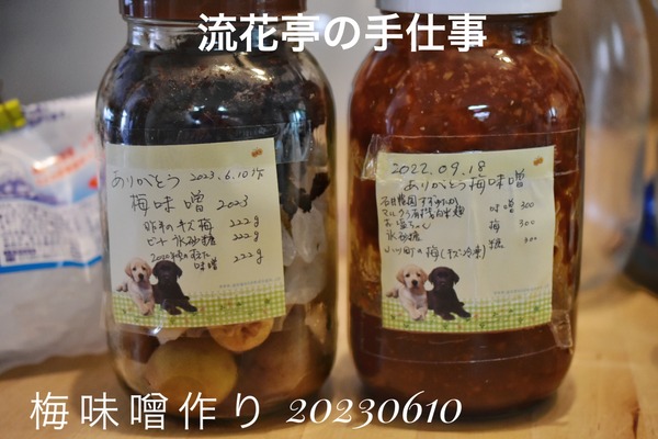 D6554006-C8FA-4718-807F-CFFF21427732