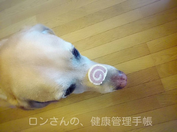 20160623 阿部先生のぐるぐるクッキー 光うさぎに来る!