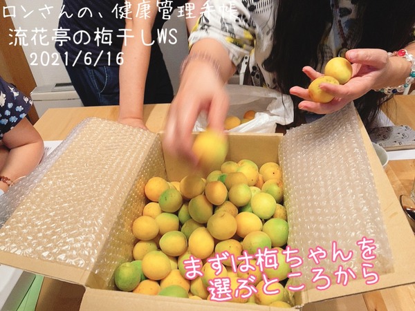 42950D31-83AF-4DF6-AB91-D551C3232351