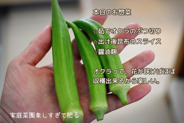 0D2A1808-8E3B-45AB-89D2-ABB088E0030C