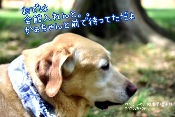 54E161F8-CAFD-4BE5-84D5-5CFDF00DECF6
