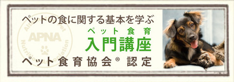 入門講座バナー　APNA　ペット食育協会　バナー