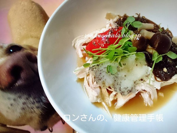 20151117 ロンごはん 大根おろし チアシード 7