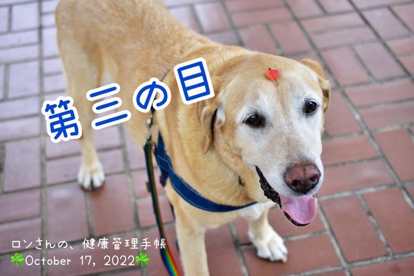 09860171-50B4-431F-A880-7DD316526B1F