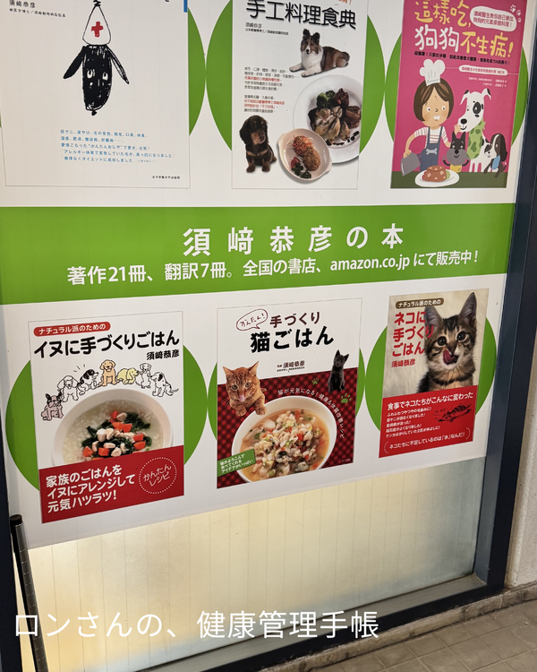 store - 6