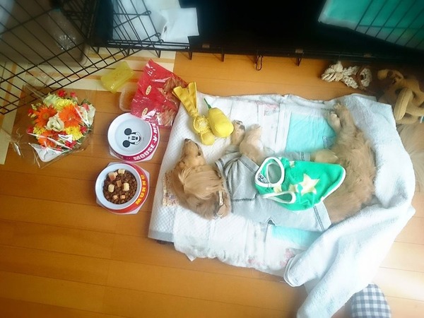 20150925 アロー虹の橋へ