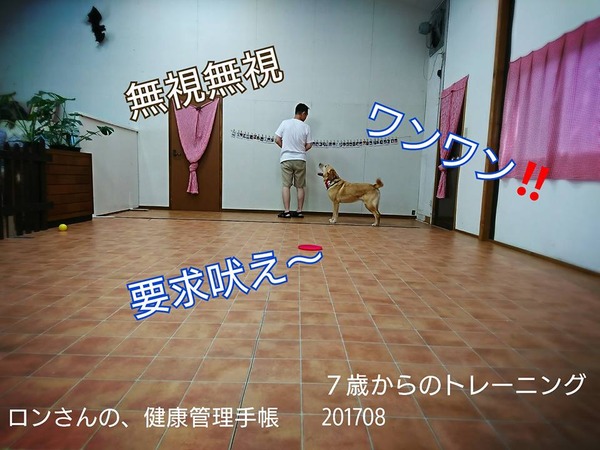 20170809 トレーニング 8回目 5