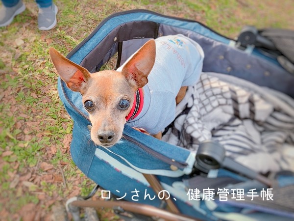 20211212 わんず (7)