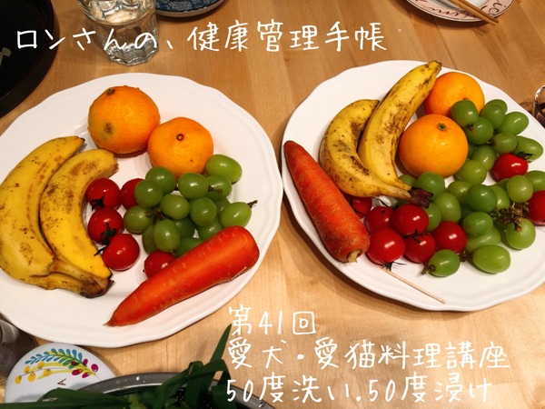 20191103入門&41回 (32)