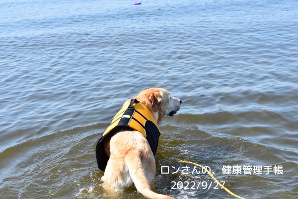 59781DB6-36E3-4F76-958F-B02B68CDB0F8