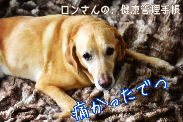 20181015 頭打った (2)