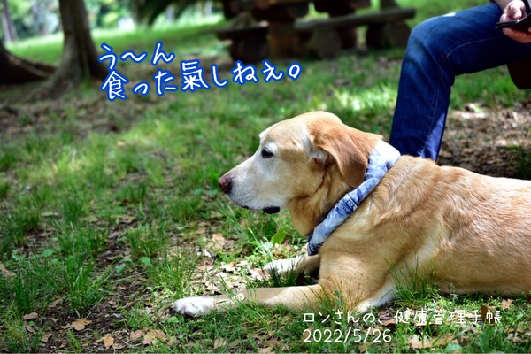 327B639F-960B-4604-892A-6BA84BC72E6C