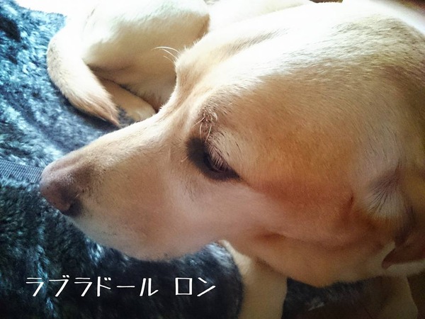 20160218 講座ごはん 鶏ムネ増量中 1