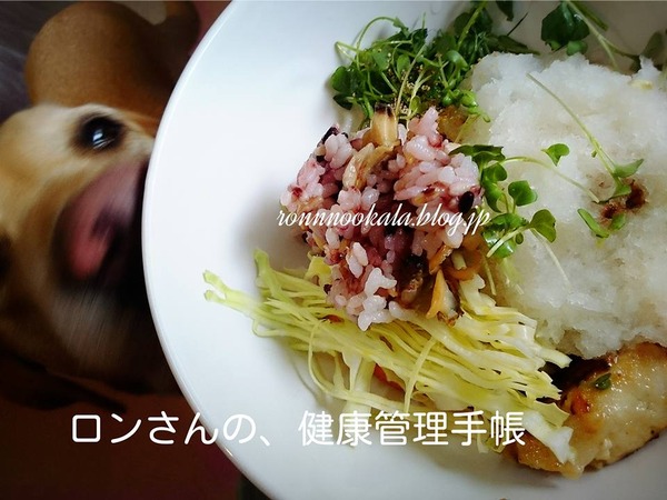 20160401 鶏ムネ 大根おろしの お揃いごはん 7