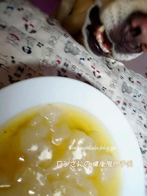 20150825 葛練 1