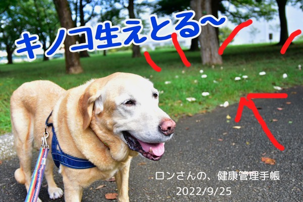 EF517259-4C69-4EF5-B551-137E4E9F9D0F