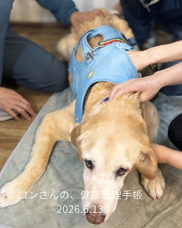 ロンさんの、健康管理手帳 - 3