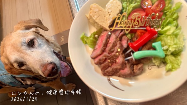 IMG_5582