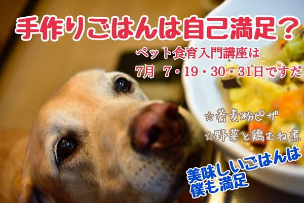 DDA05B0C-9FA7-4031-9BDA-BD229E51CB15