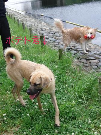 デンデン3
