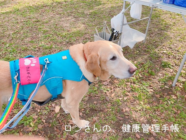 20211212 わんず (8)