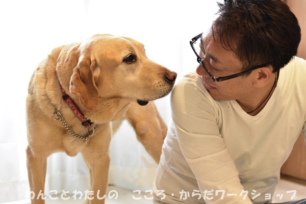 20190512 わんことわたしの・こころとからだWS (10)