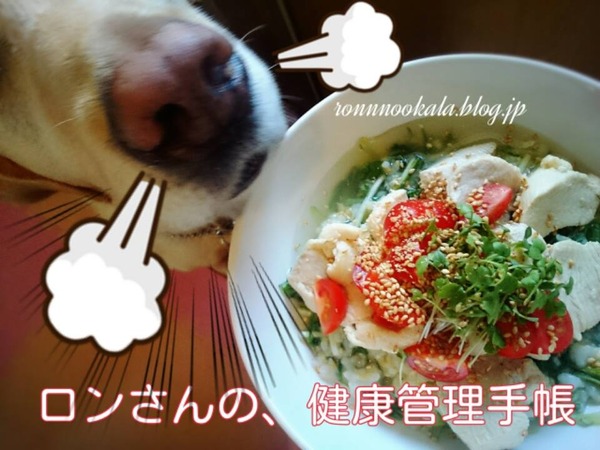 20160515 お肉多めの ロンごはん 3