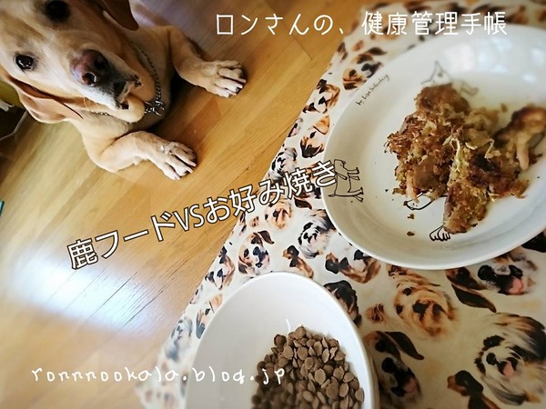 20170919 鹿 森から海へ 6
