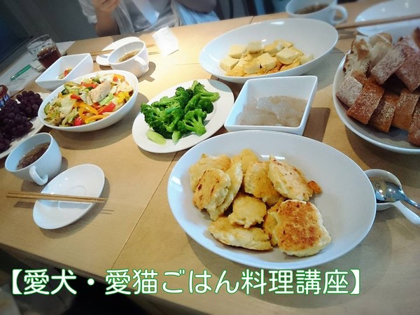 20160622 講座 第15回 3