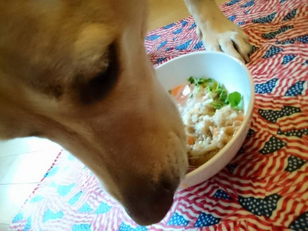 20151015 ロンご飯 納豆 6