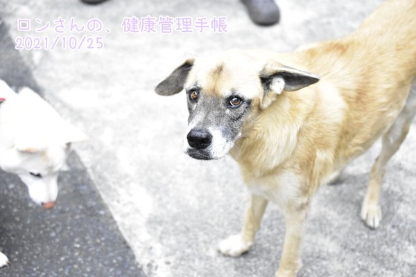 B7A70C83-F404-4CEE-A800-23B098897AFE