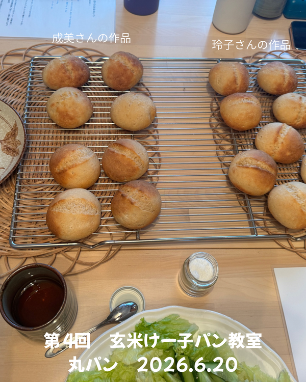 歯肉炎2026.6.19のコピー - 7