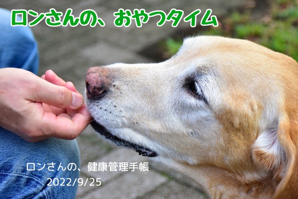 BEDE64CB-C2B6-4555-9B78-AFA51B8CED56
