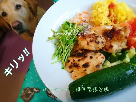 20150829 1ロンご飯 鶏肉 焦げた2
