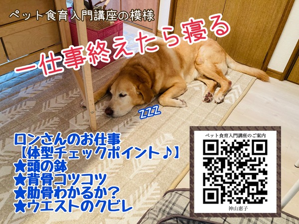 3881A1B5-CE34-45EF-B91E-45649D351F1F