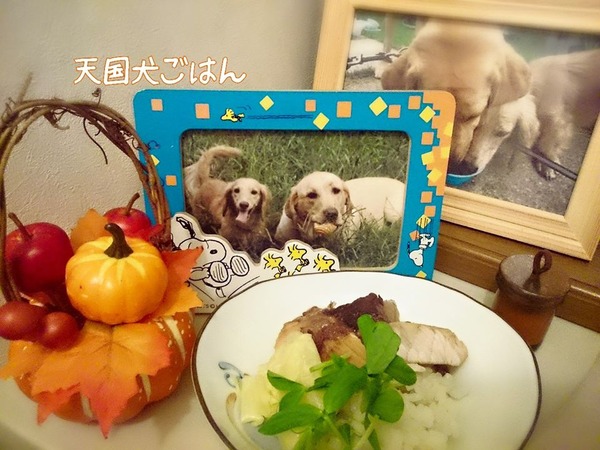 20151008　鰤照り丼　５
