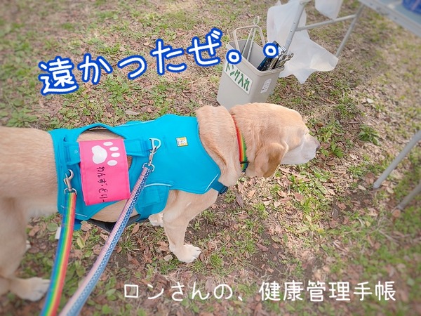 20211212 わんず (1)