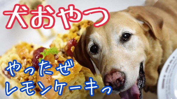 レモンケーキ