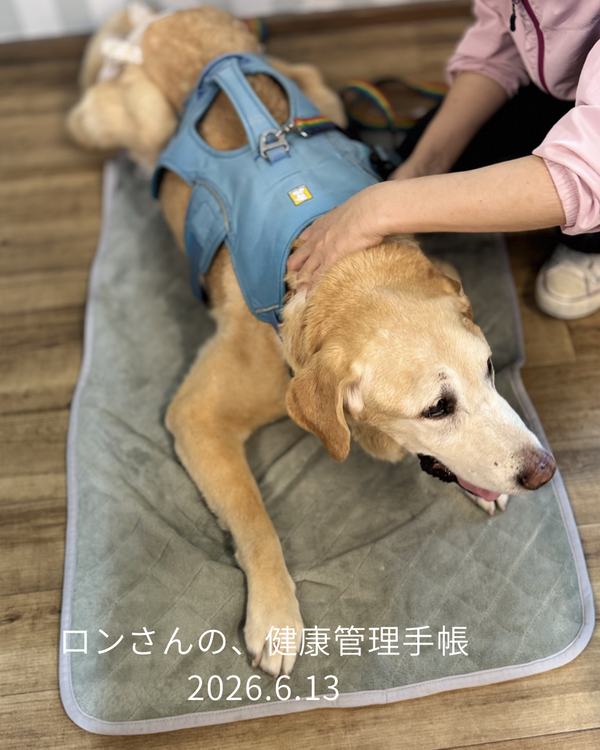 ロンさんの、健康管理手帳 - 1
