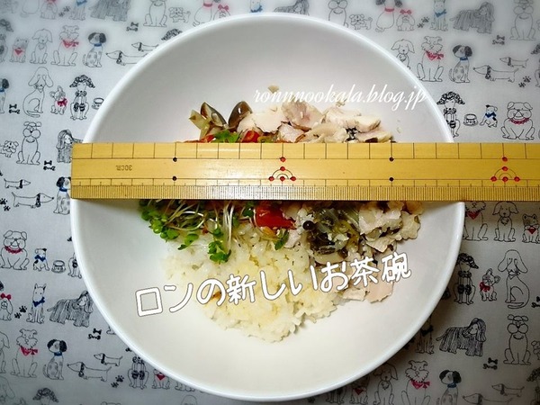 20150930 ロンご飯 9月の〆 新茶わん 5