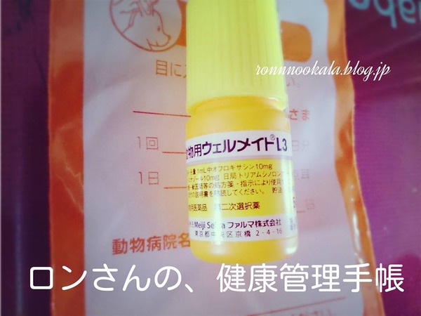 20160202 再診 点耳薬 1