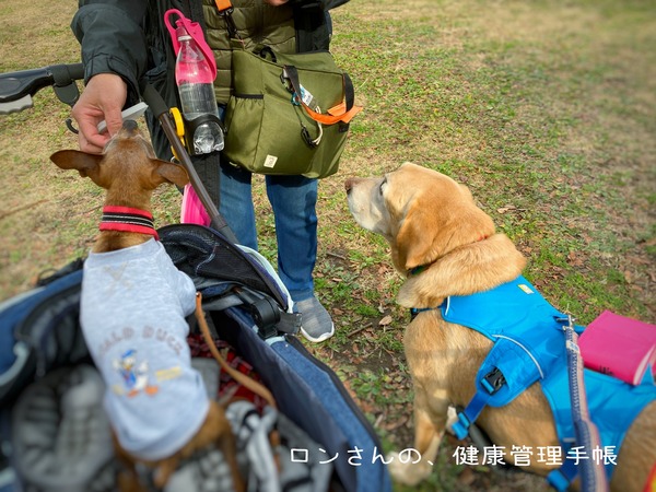 20211212 わんず (9)