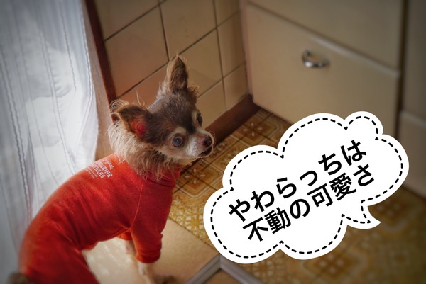 5E45817D-8600-4562-858E-E928C9ABE25E