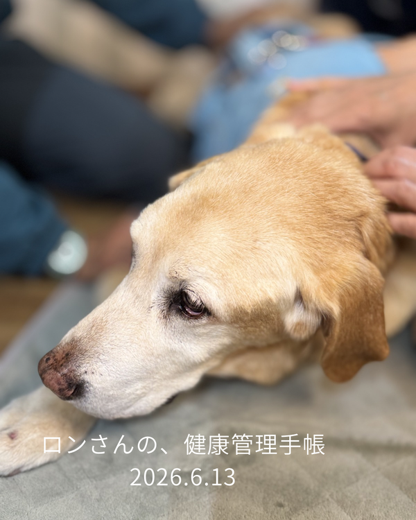 ロンさんの、健康管理手帳 - 4