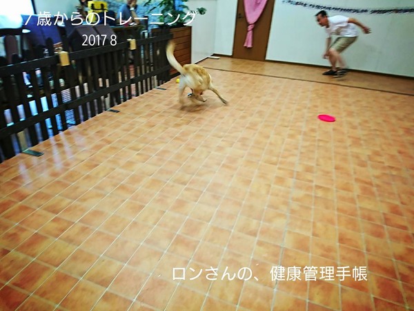 20170809 トレーニング 8回目 3