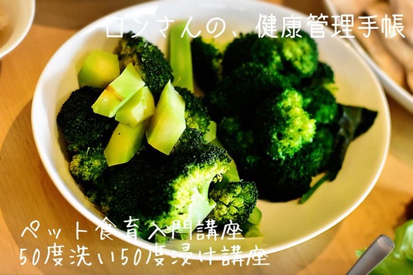 20181104 入門50度6
