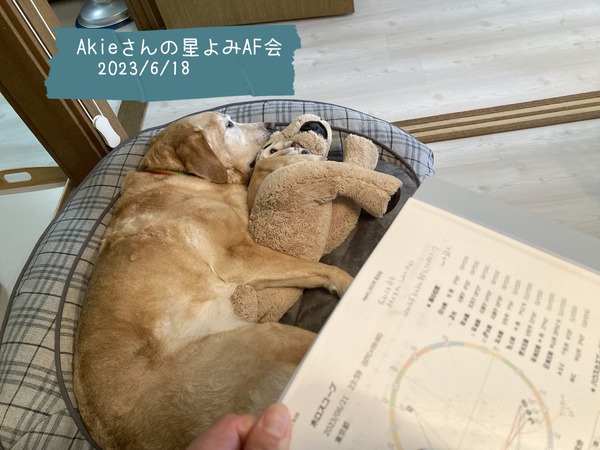 20230618 akieさんの星よみ (4)