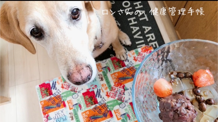 わんこのみつ豆 黒みつって大丈夫 ロンさんの 健康管理手帳 わんこのみつ豆 黒みつって大丈夫 ロンさんの 健康管理手帳