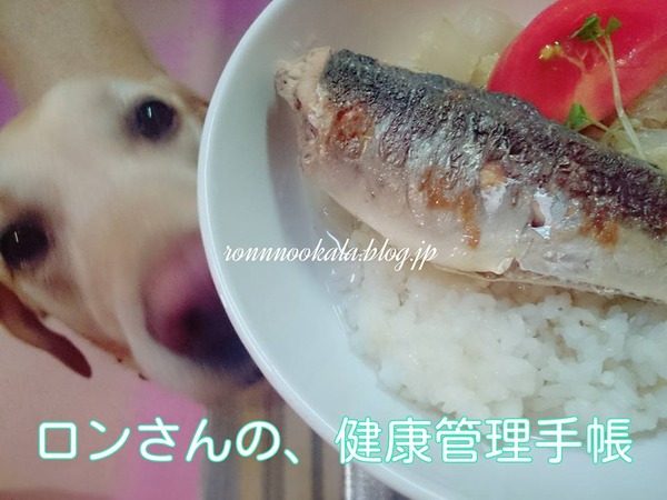 20160708 鯖茶漬け 1